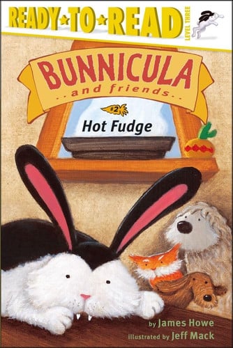 Hot Fudge Ready-to-Read Level 3