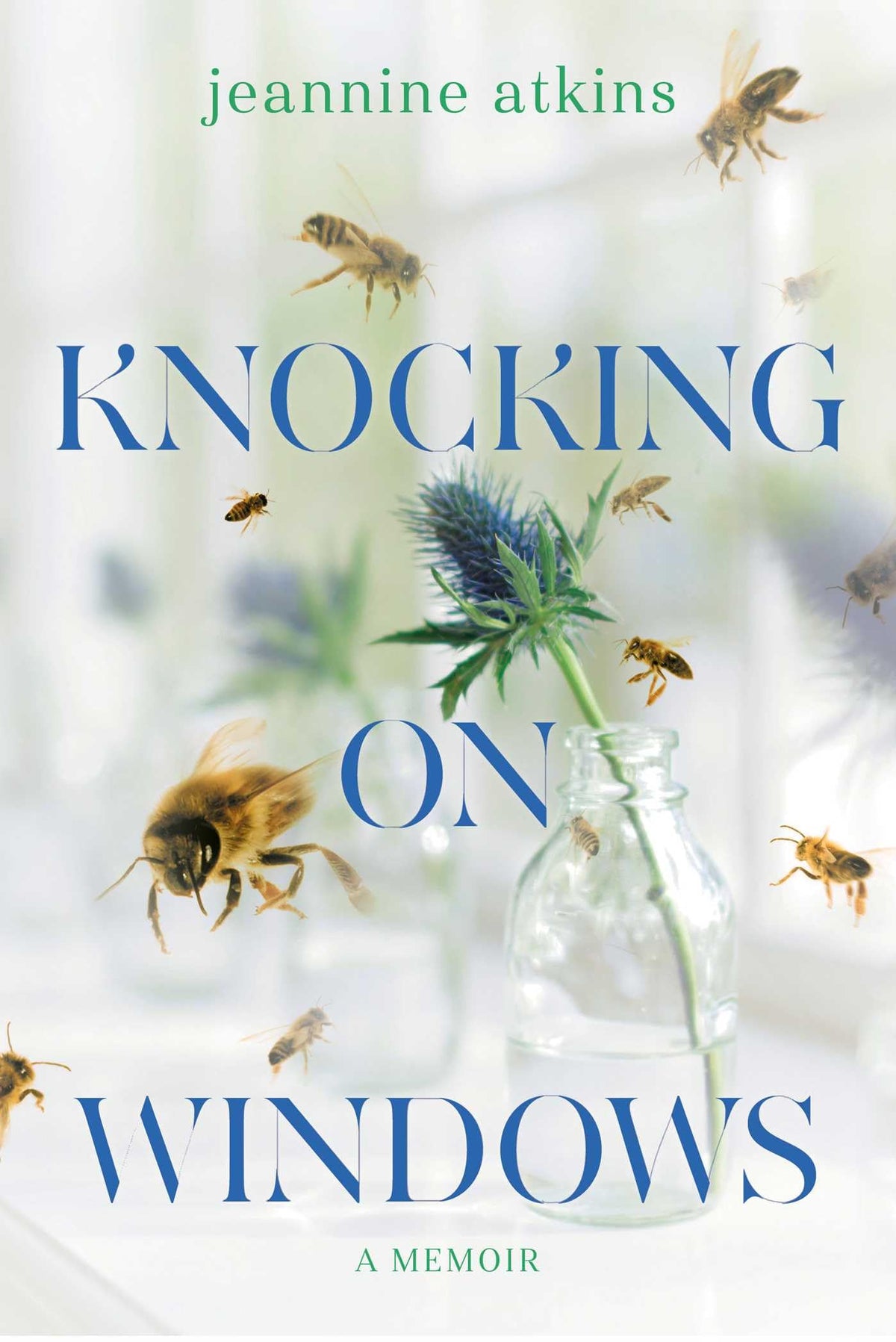 Knocking on Windows: A Memoir