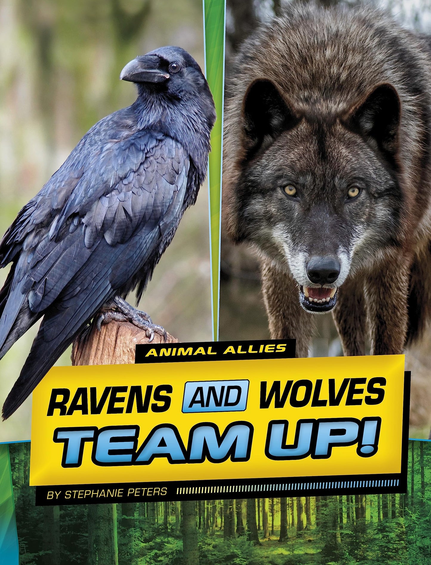 Ravens and Wolves Team Up! (Animal Allies)