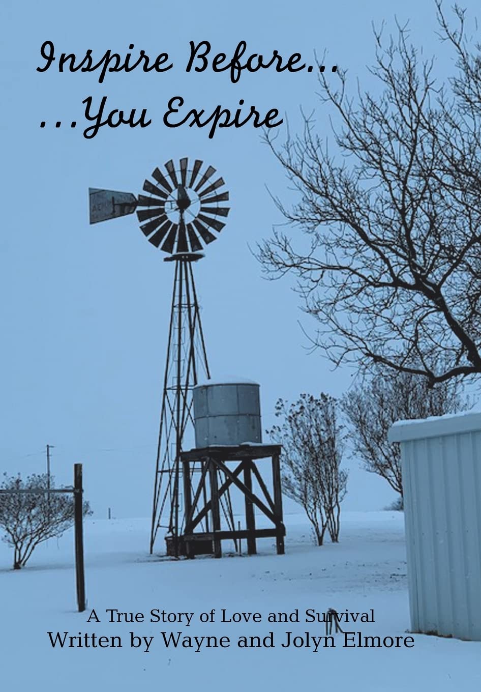 Inspire Before... ...You Expire: A True Story of Love and Survival