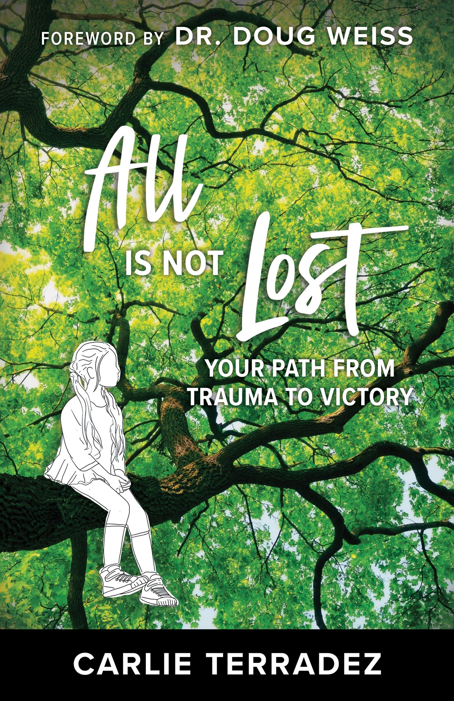 All is Not Lost: Your Path from Trauma to Victory - 5858