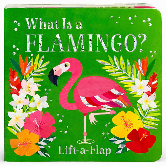 What Is a Flamingo? - 3734
