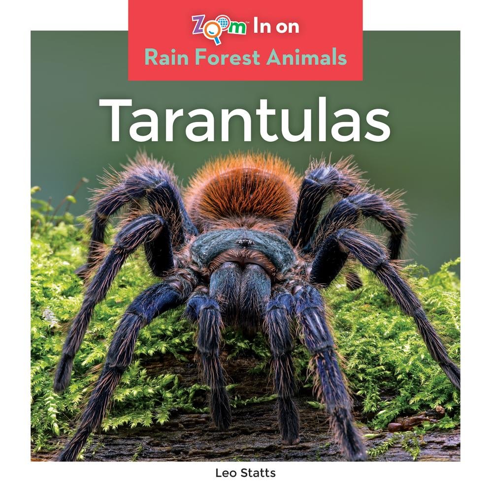 Tarantulas (Zoom In On Rain Forest Animals)