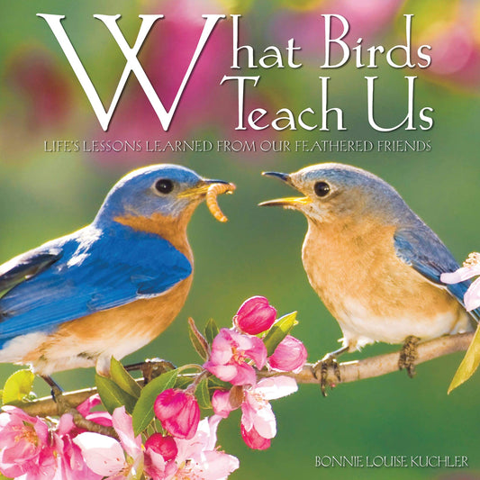 What Birds Teach Us