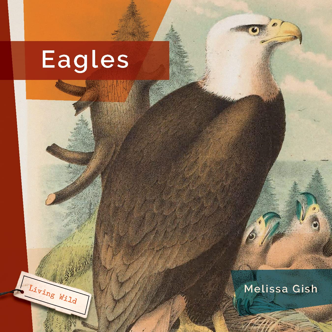 Eagles (Living Wild)