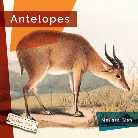 Antelopes (Living Wild)