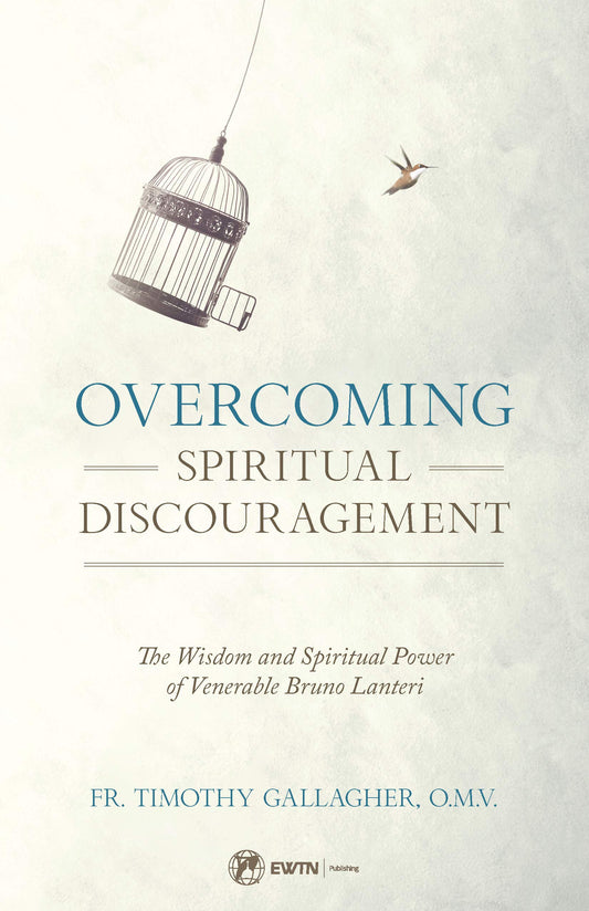 Overcoming Spiritual Discouragement: The Wisdom and Spiritual Power of Venerable Bruno Lanteri - 6657