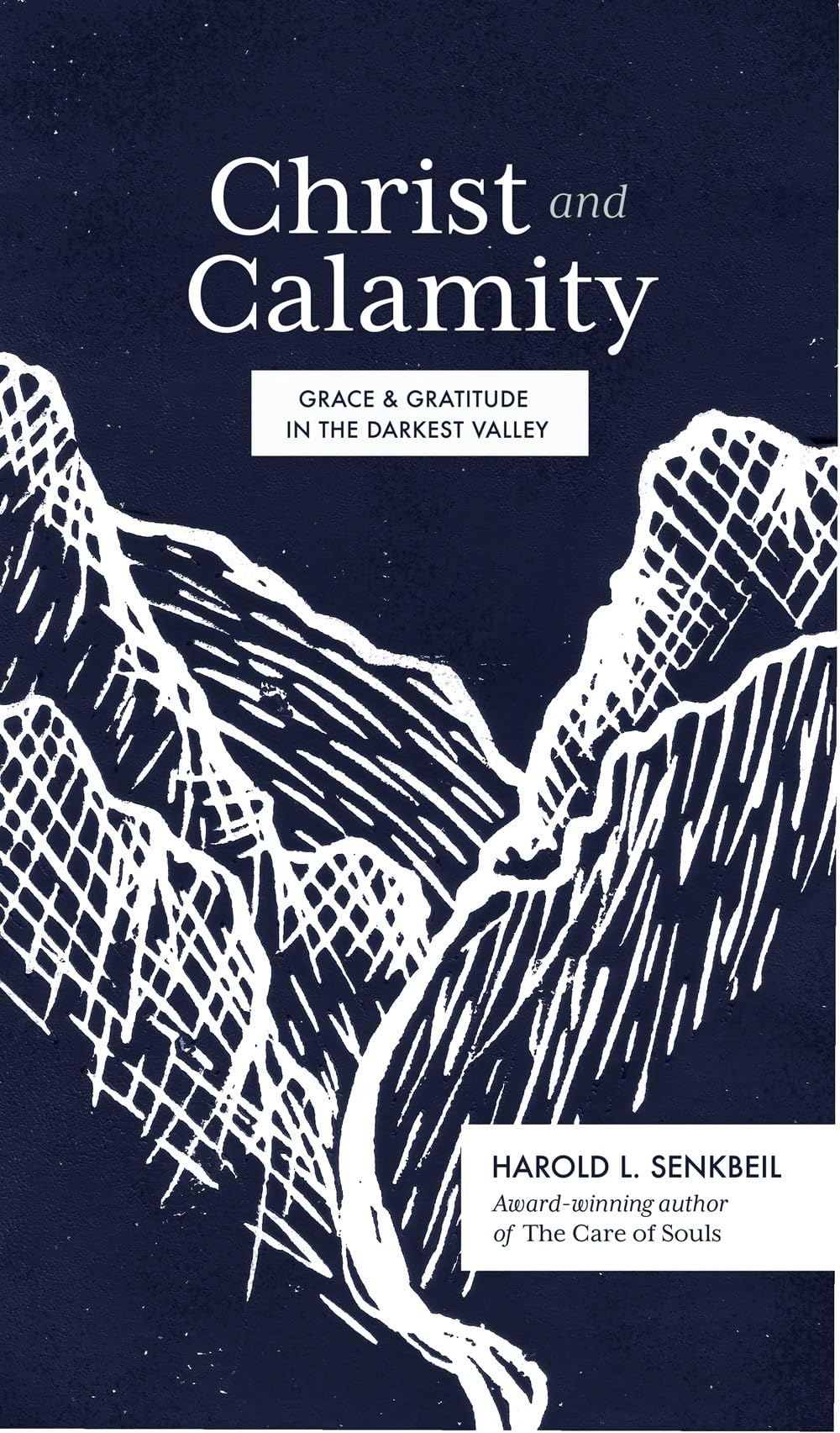 Christ and Calamity: Grace and Gratitude in the Darkest Valley - 8655
