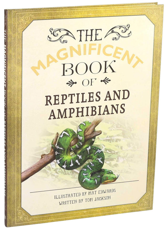 Magnificent Book of Reptiles and Amphibians (The Magnificent Book of) - 9816