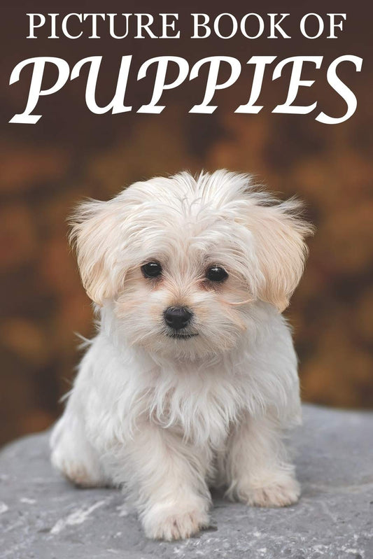 Picture Book of Puppies: Picture Book of Puppies: For Seniors with Dementia [Cute Picture Books] (Picture Books of Animals for People with Dimentia) - 4346