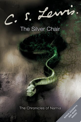 The Silver Chair (adult)