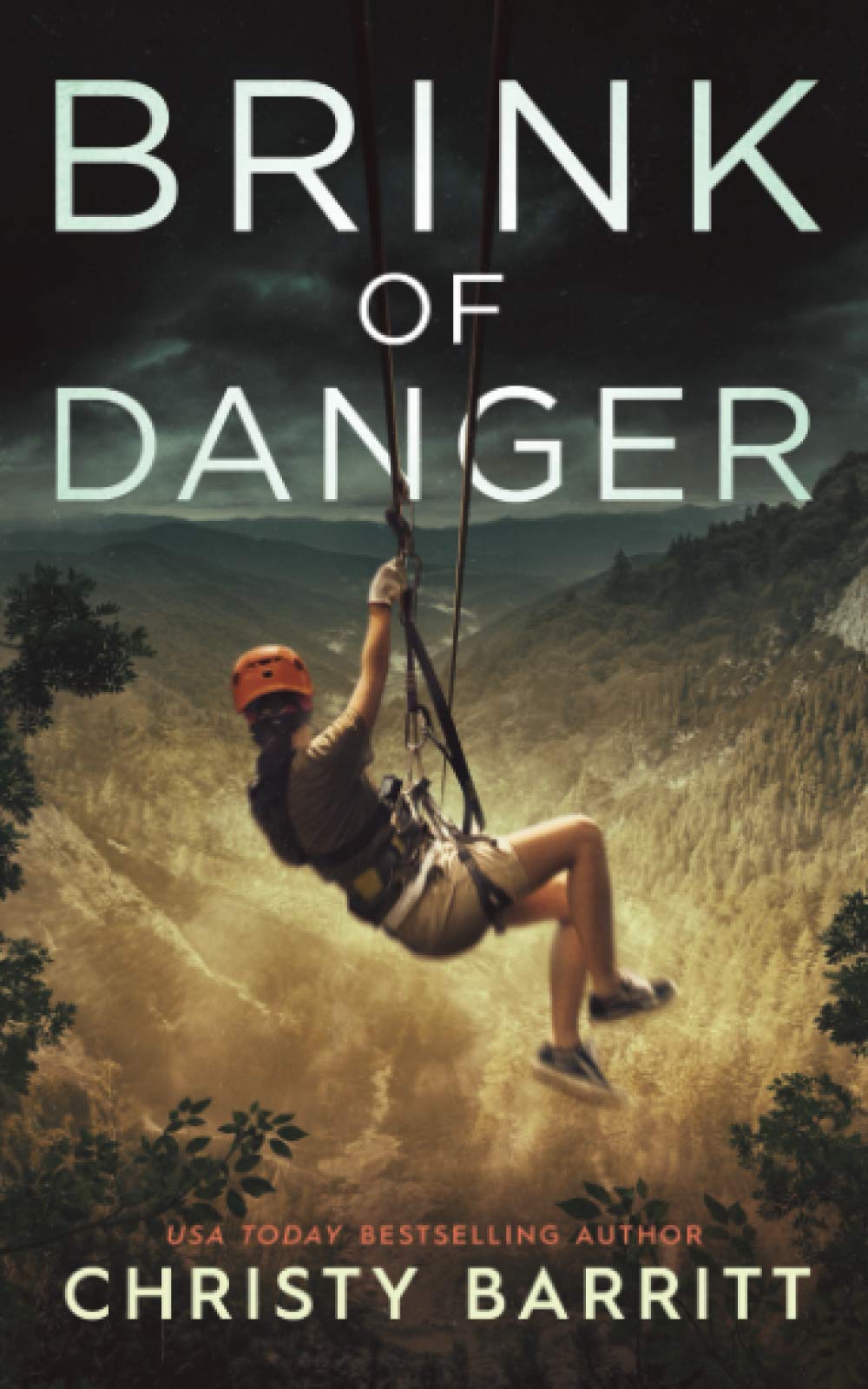 Brink of Danger (Fog Lake Suspense)