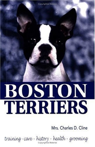 Boston terriers: training, care, history, health, grooming