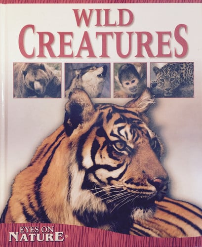 Amazing Creatures