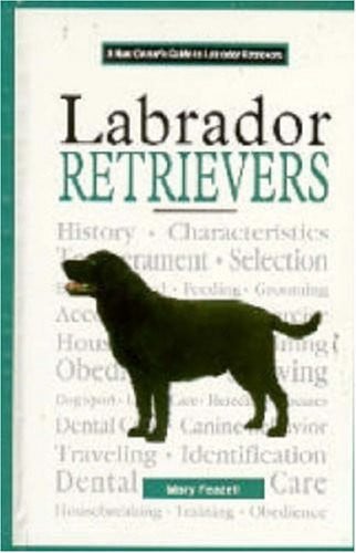 A New Owner's Guide to Labrador Retrievers