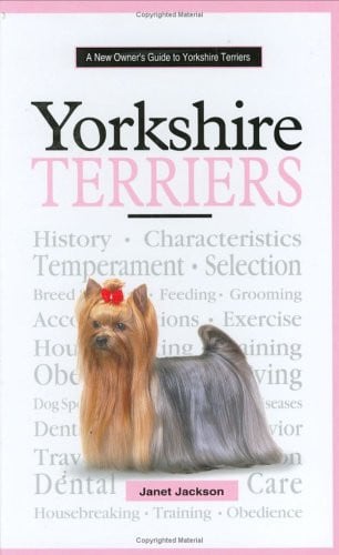 A new owner's guide to Yorkshire terriers
