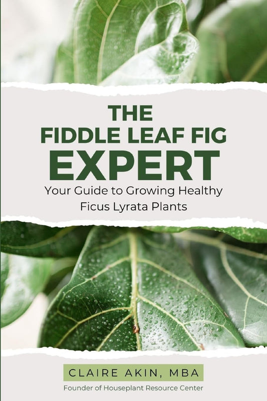 The Fiddle Leaf Fig Expert: Your Guide to Growing Healthy Ficus Lyrata Plants - 3668