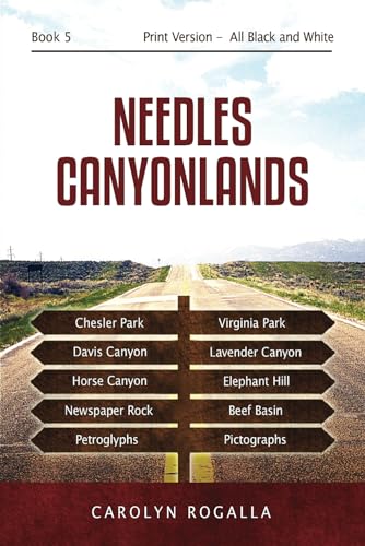 Needles Canyonlands: Needles, Chesler Park, Elephant Hill, Newspaper Rock, utah parks - 2558