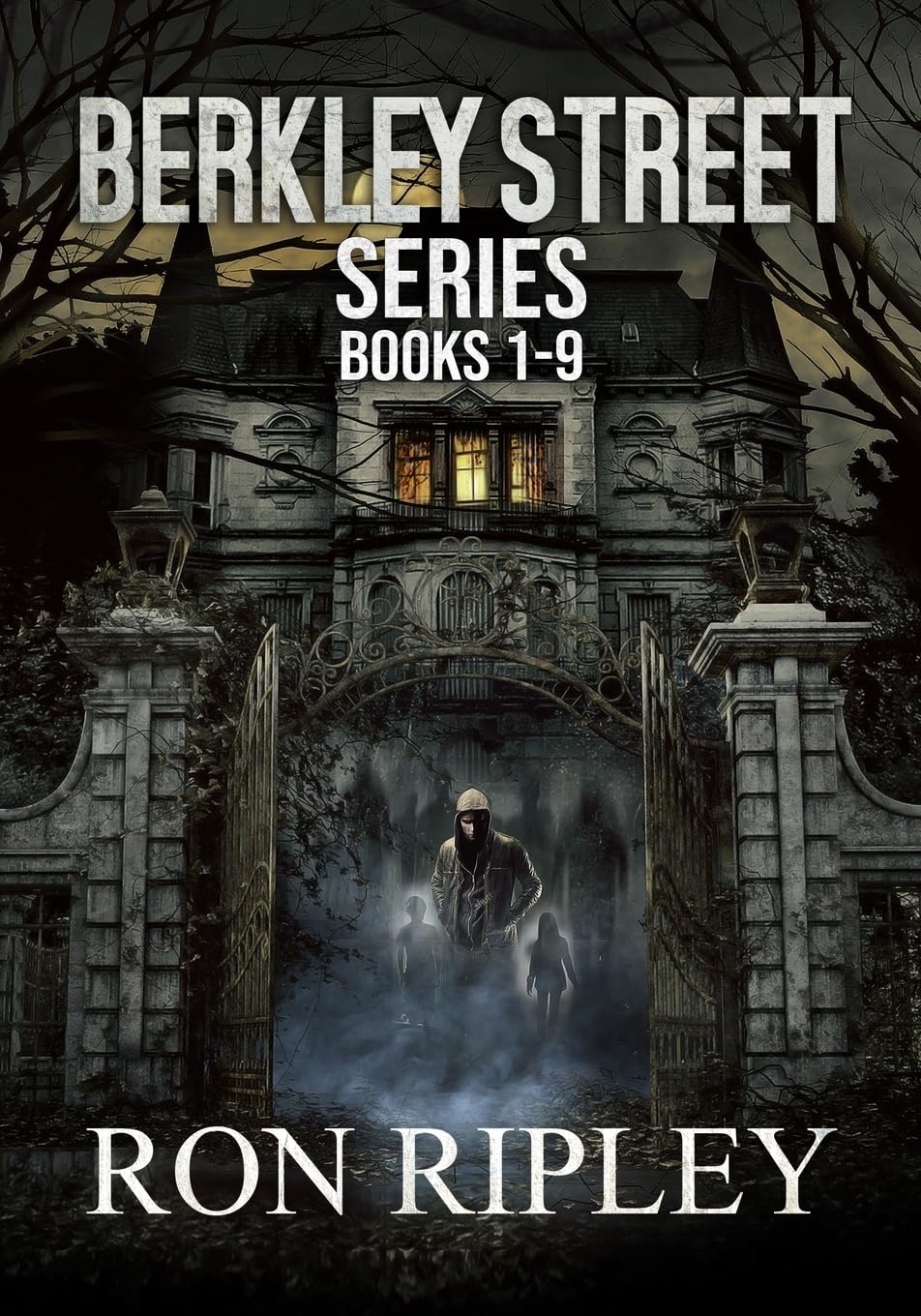 Berkley Street Series Books 1 - 9 (Horror Bundles Series) - 6794