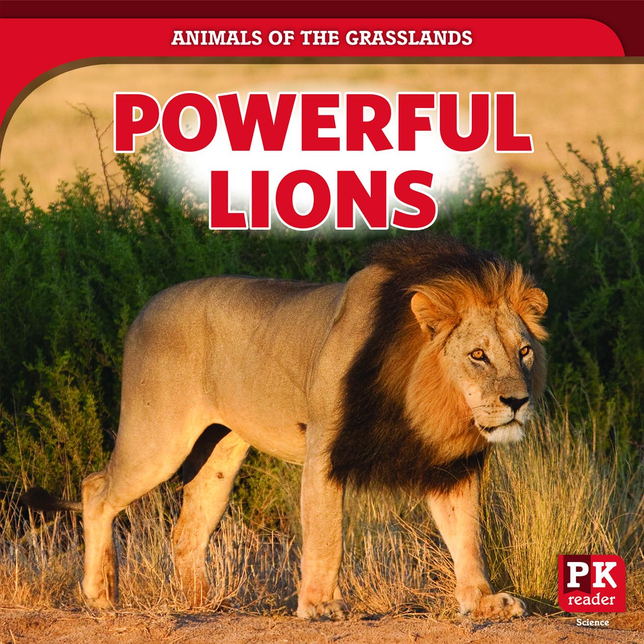 Powerful Lions (Animals of the Grasslands)