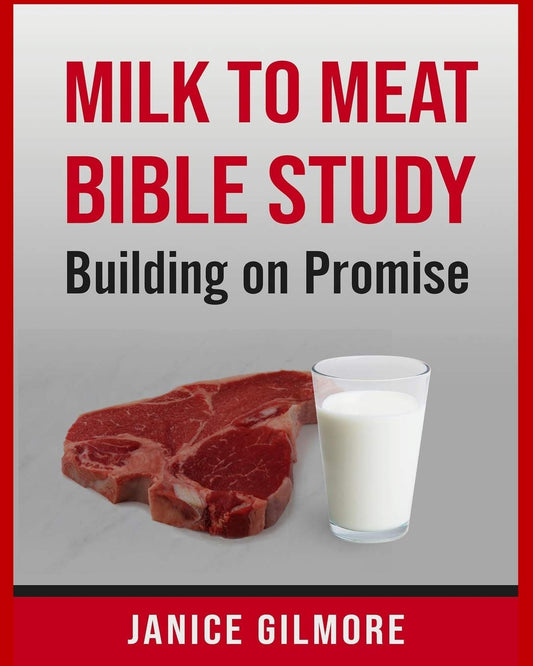 Milk To Meat Bible Study: Building On Promise