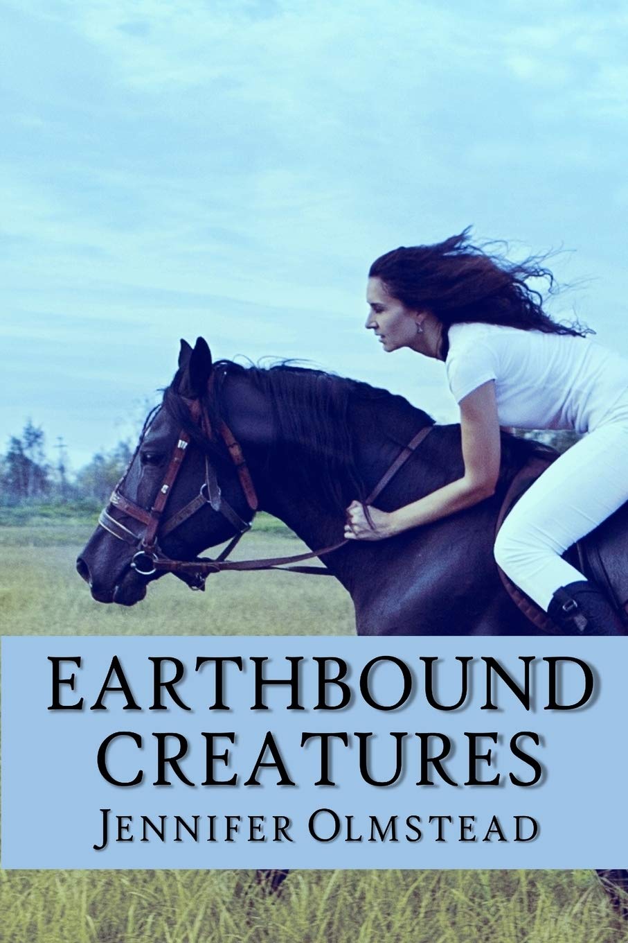 Earthbound Creatures (The Virginia Southern Point Collection)