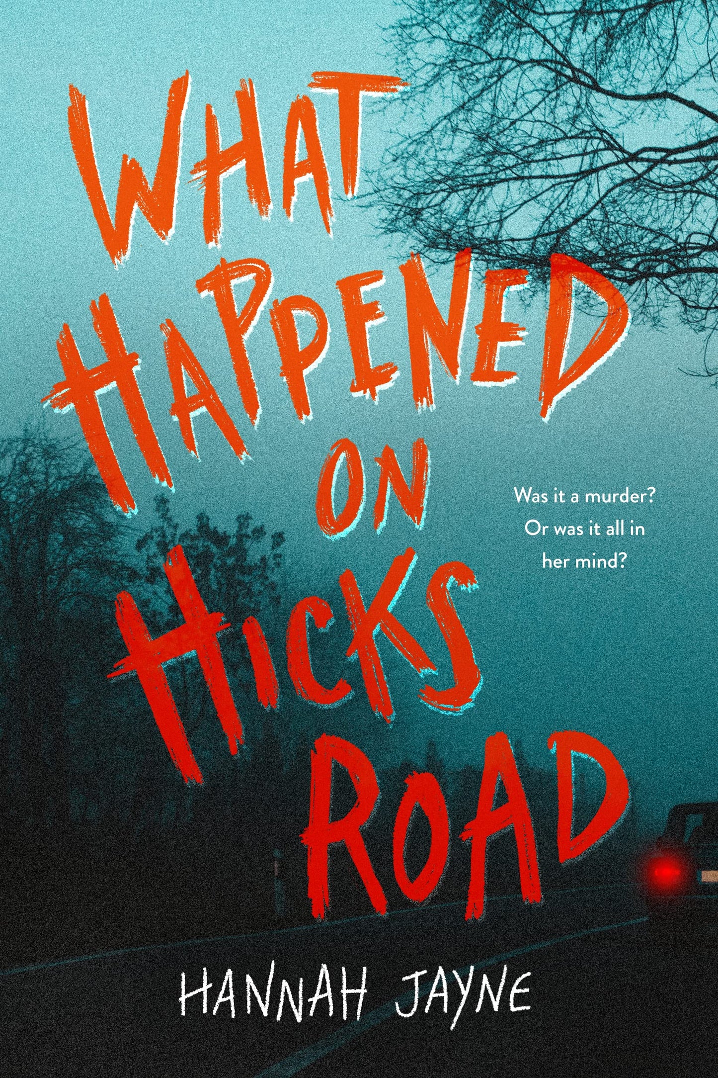 What Happened on Hicks Road - 459