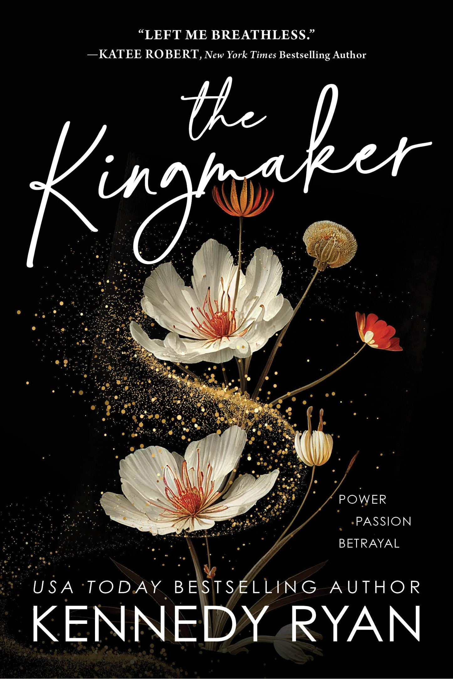 The Kingmaker: A Slow Burn Forbidden Romance with Ambition and Activism (All The King's Men, 1)