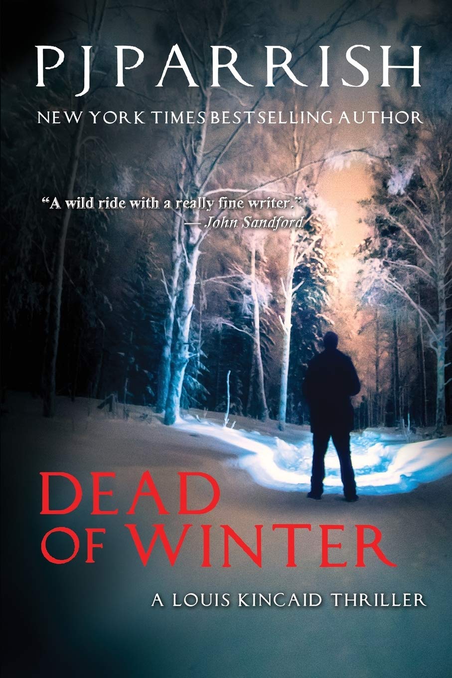 DEAD OF WINTER: A Louis Kincaid Thriller (Louis Kincaid/Joe Frye mystery series)