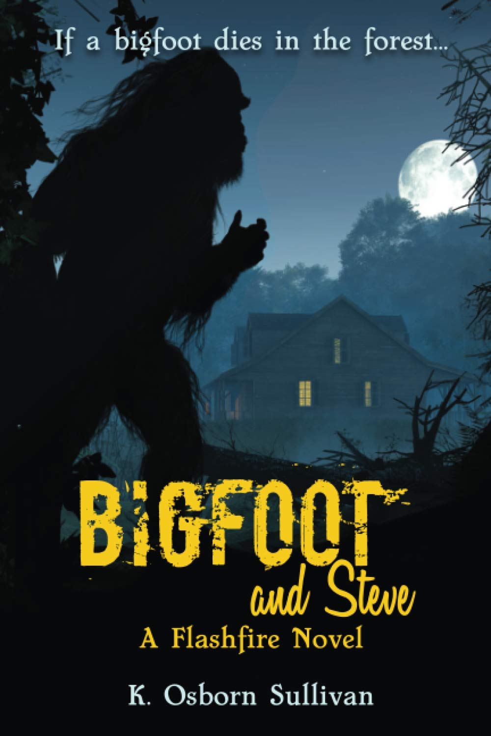Bigfoot and Steve: A Flashfire Novel (The Flashfire Novels)