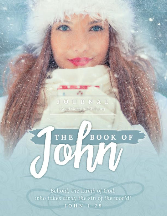The Book of John Journal: One Chapter a Day - 7751