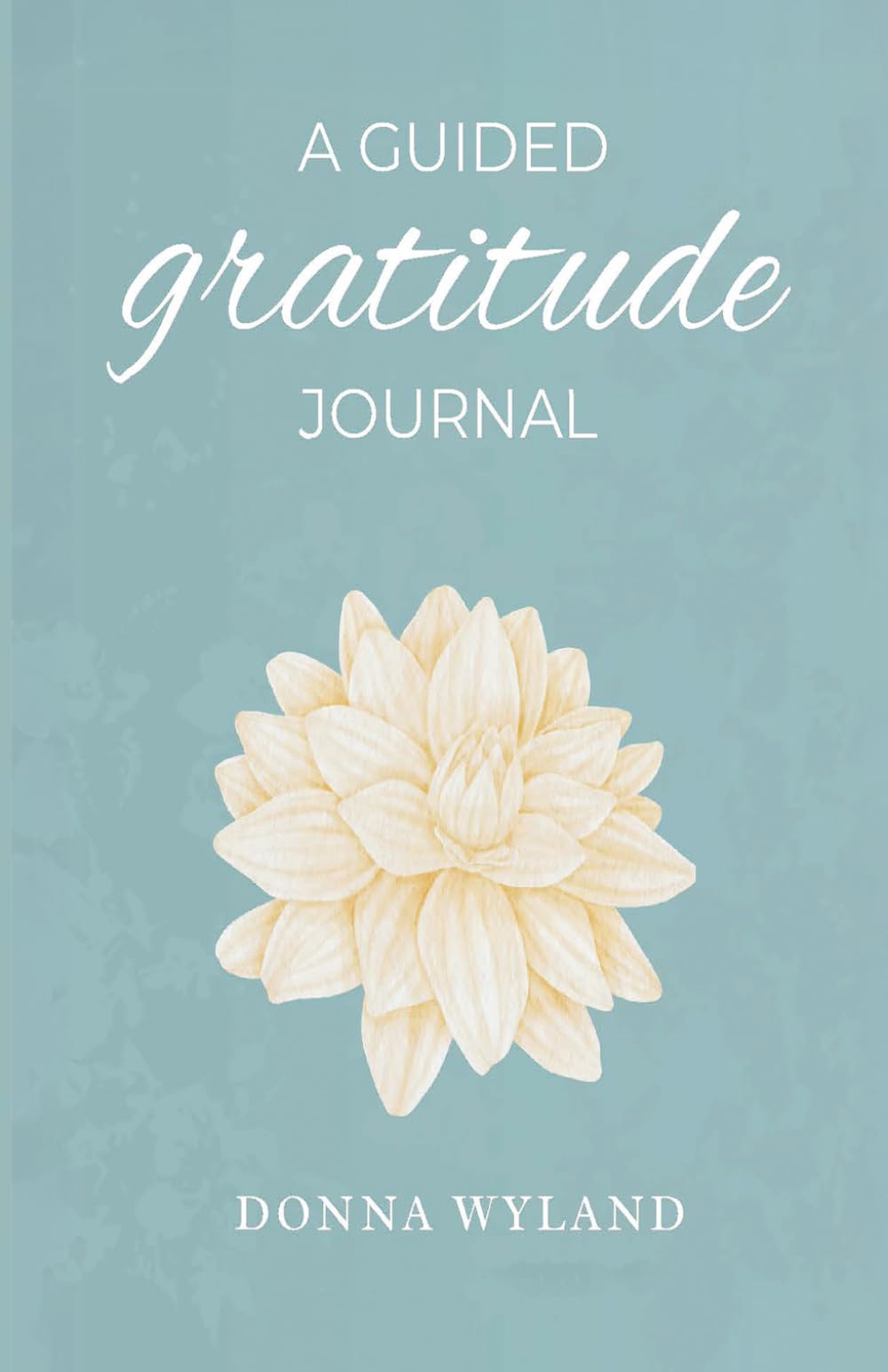 A Guided Gratitude Journal