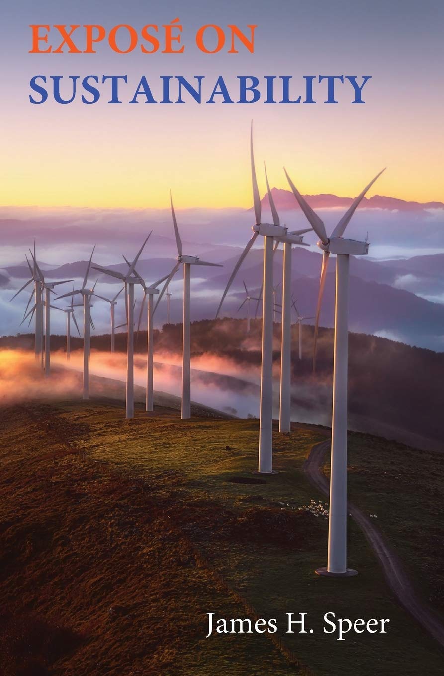 Exposé on Sustainability