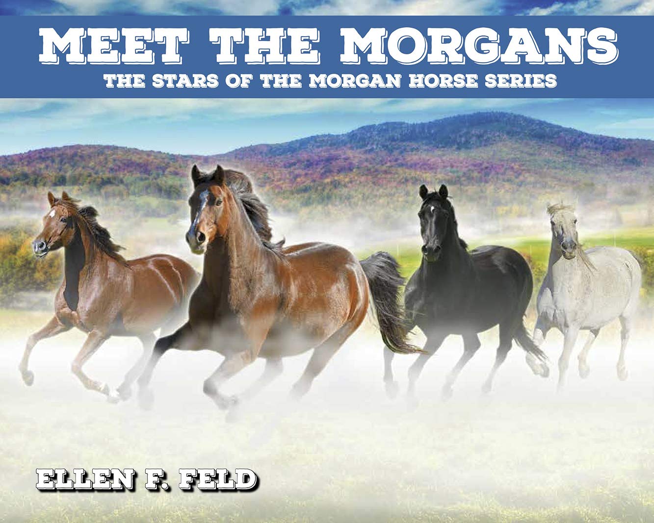 Meet The Morgans: The Stars of the Morgan Horse Series (Morgan Horse Series, Book 8)