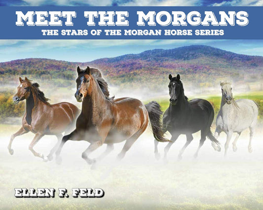 Meet The Morgans: The Stars of the Morgan Horse Series (Morgan Horse Series, Book 8)