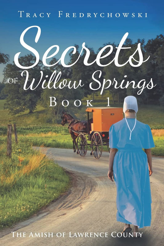 Secrets of Willow Springs - Book 1 (The Amish of Lawrence County) - 9374