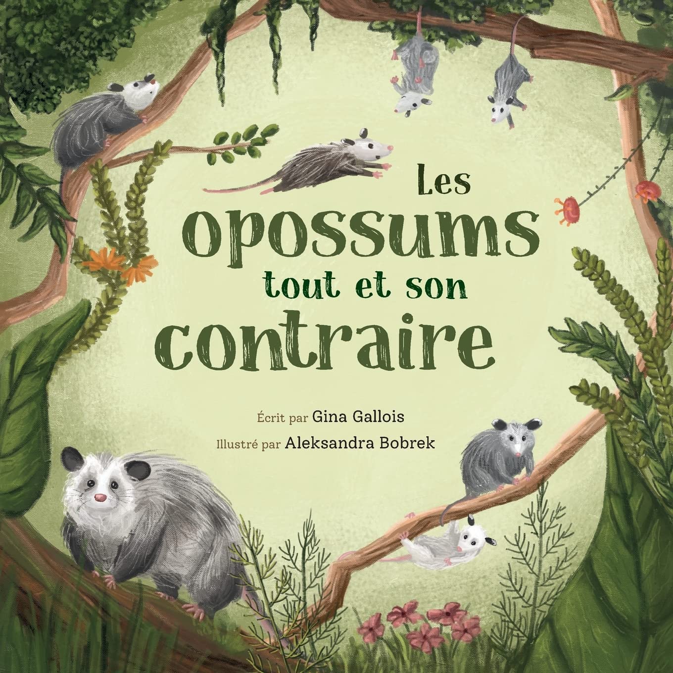 Les opossums: tout et son contraire (Histoires d'opossums) (French Edition) - 7234