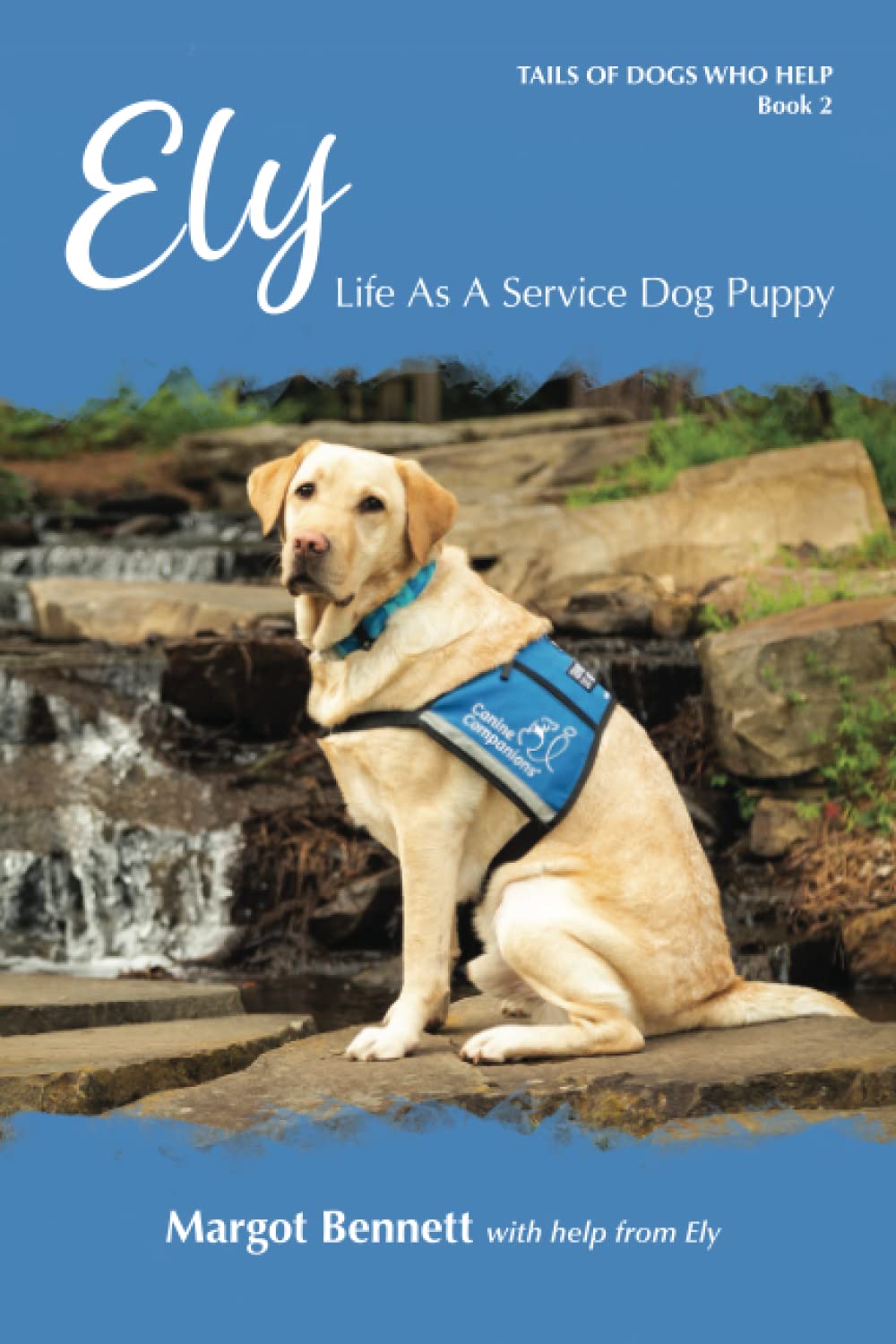Ely, Life As A Service Dog Puppy (Tails Of Dogs Who Help)