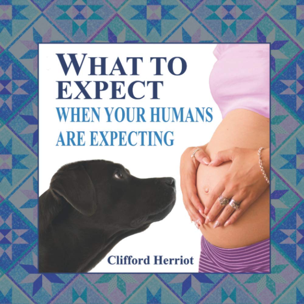 What to Expect When Your Humans are Expecting - 9217