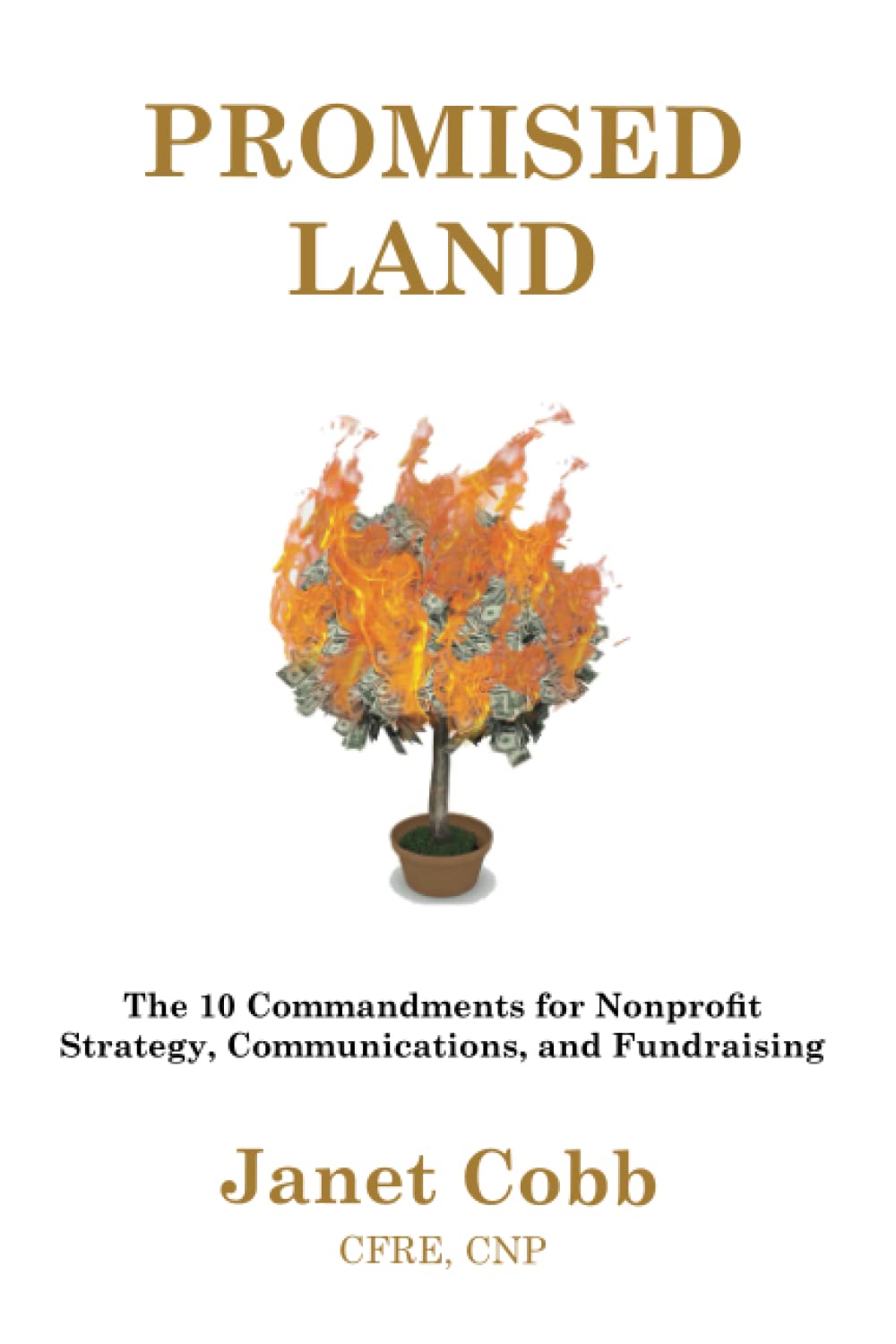 Promised Land: The 10 Commandments for Nonprofit Strategy, Communications, and Fundraising
