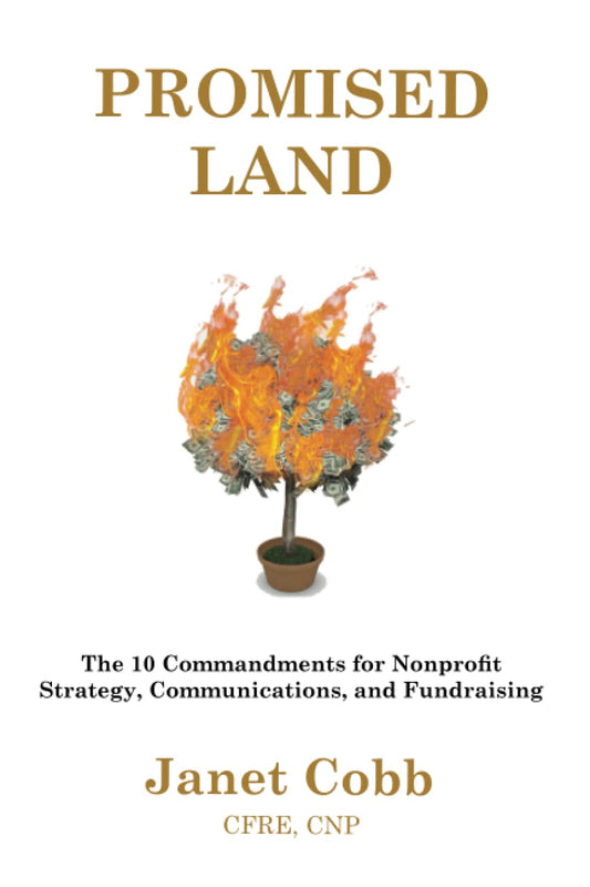 Promised Land: The 10 Commandments for Nonprofit Strategy, Communications, and Fundraising