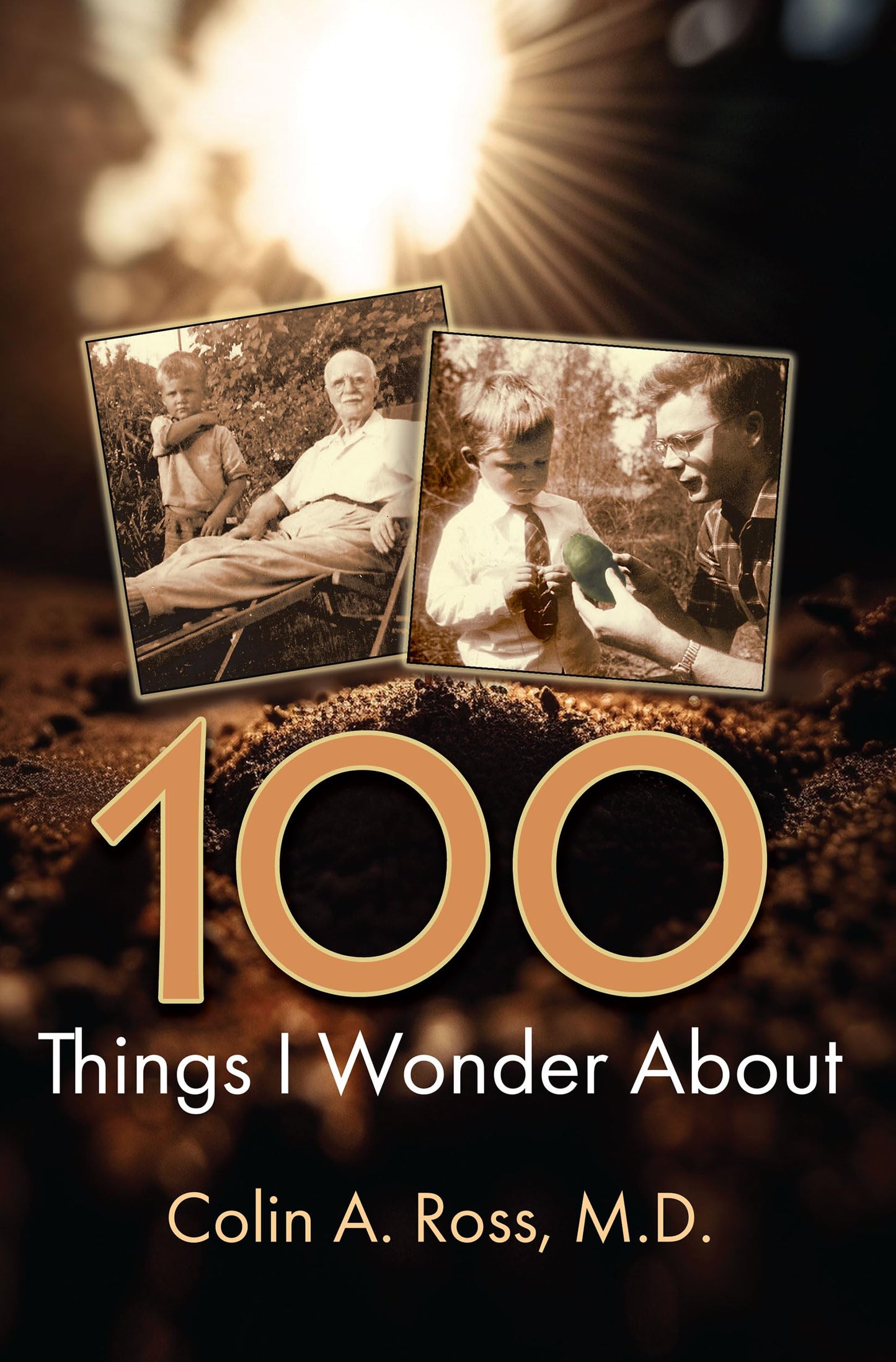 100 Things I Wonder About
