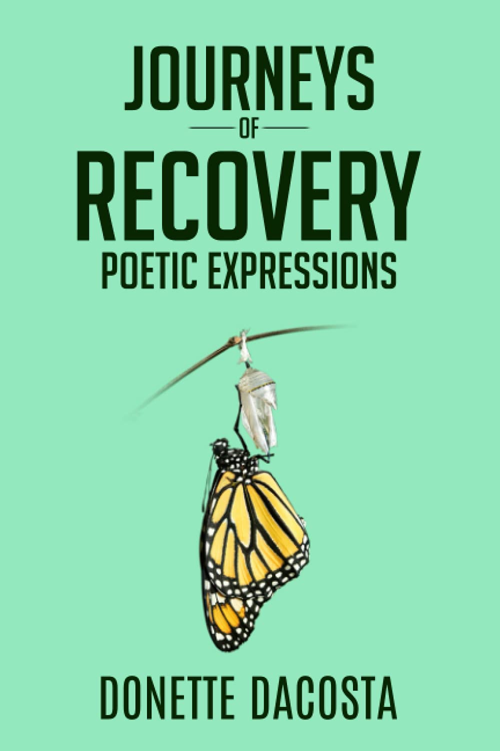Journeys of Recovery Poetic Expressions