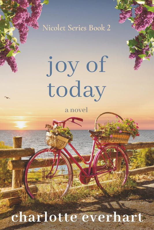 Joy of Today (The Nicolet Series) - 2519