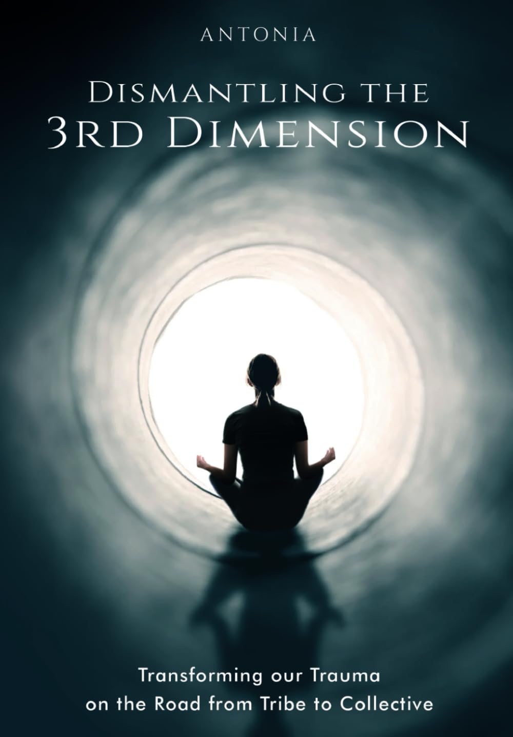 Dismantling the 3rd Dimension: Transforming our Trauma on the Road from Tribe to Collective - 8147
