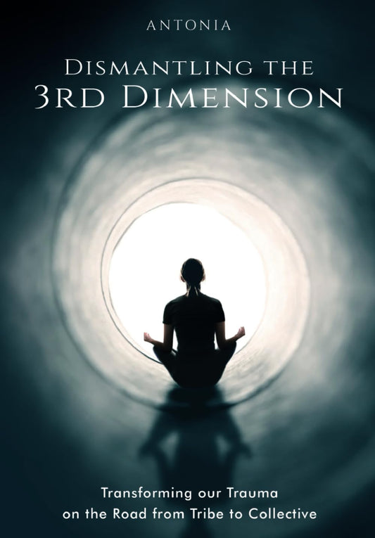 Dismantling the 3rd Dimension: Transforming our Trauma on the Road from Tribe to Collective - 8147