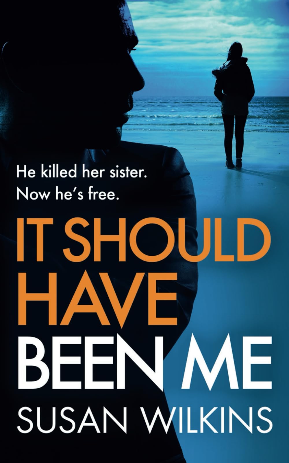 It Should Have Been Me: A gripping psychological thriller (The Detective Jo Boden Case Files)
