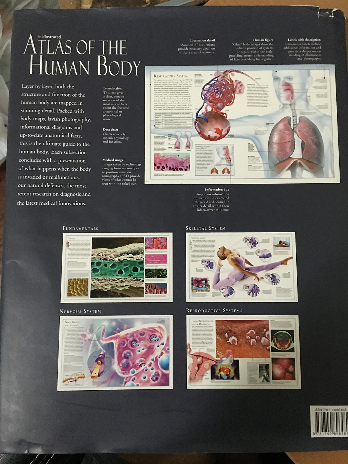 Illustrated Atlas of the Human Body