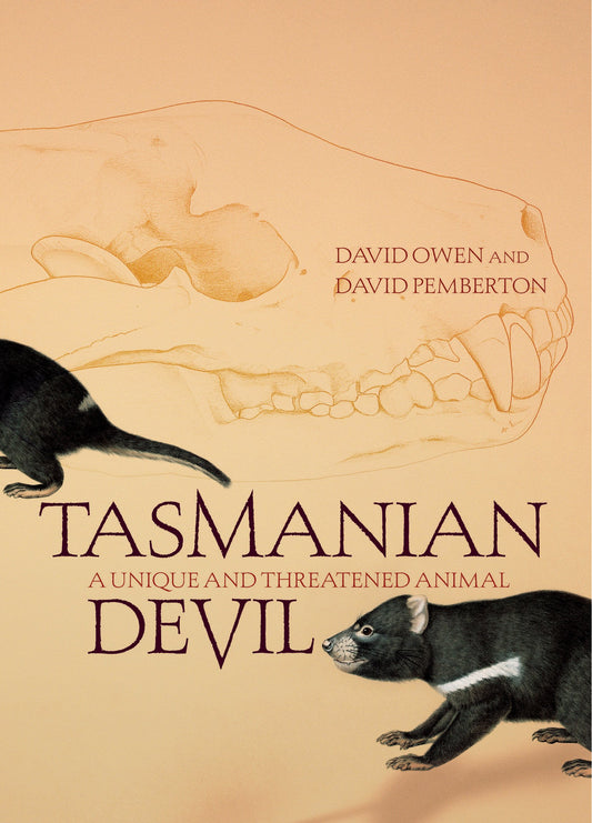 Tasmanian Devil: A Unique and Threatened Animal