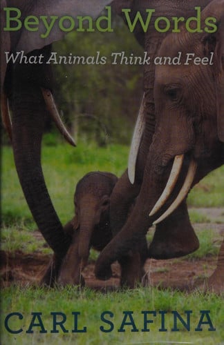 Beyond words: what animals think and feel